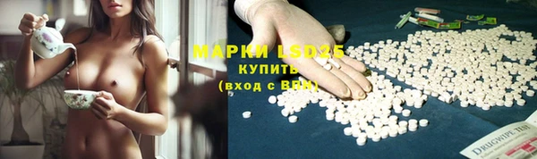 прущие грибы Алексеевка