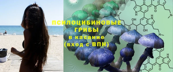 прущие грибы Алексеевка